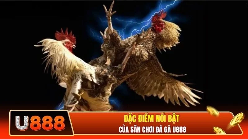 Đặc điểm nổi bật của sân chơi đá gà U888
