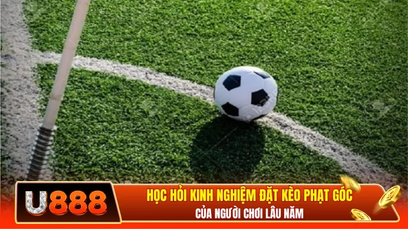 Học hỏi kinh nghiệm đặt kèo phạt góc của người chơi lâu năm